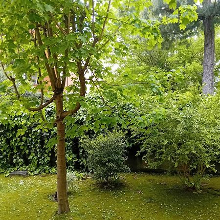Casa Vacanze Lida Marina Di Carrara Dış mekan fotoğraf
